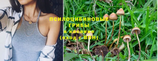 соль курить ск Балахна